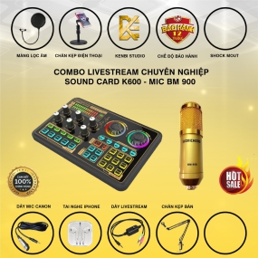                          Combo K600 VÀ Micro Thu Âm BM900                       