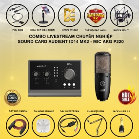                          Combo sound card Audient ID14 MK2 - mic AKG P220                       