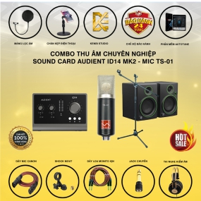                          COMBO THU ÂM SOUND CARD AUDIENT ID 14 MK2 VÀ MIC AKG TS-01                       