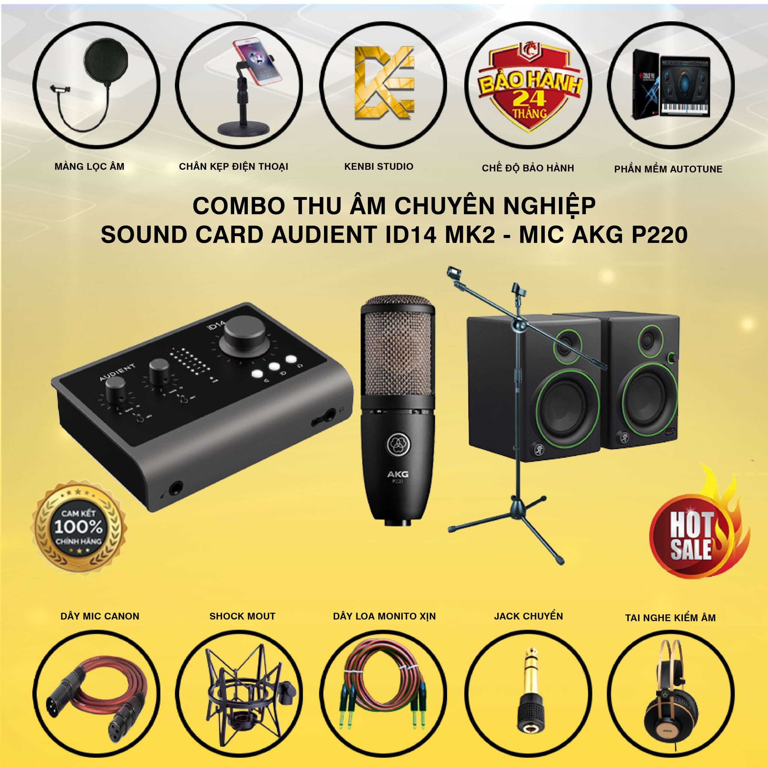COMNO THU ÂM AUDIENT ID14 MK2 VỚI MIC AKG P220-01