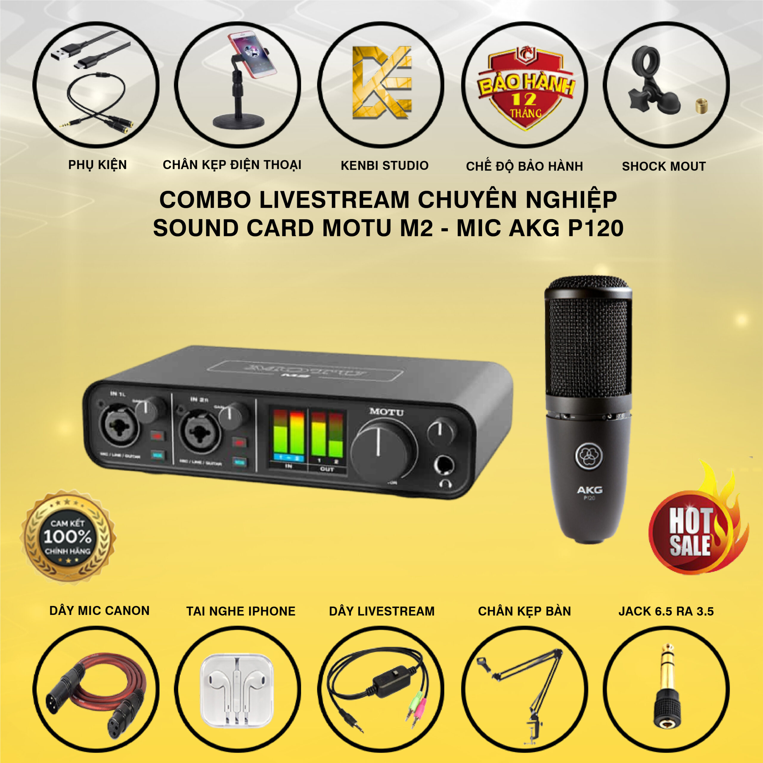 Combo sound card Motu M2 - mic AKG P120