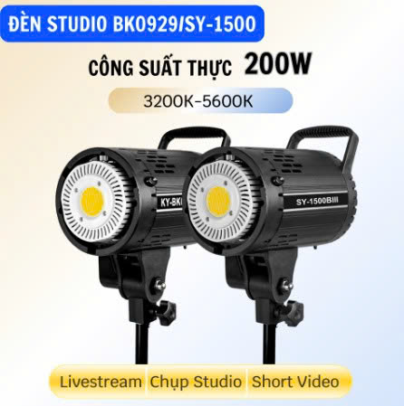 bae275028e5c05025c4d