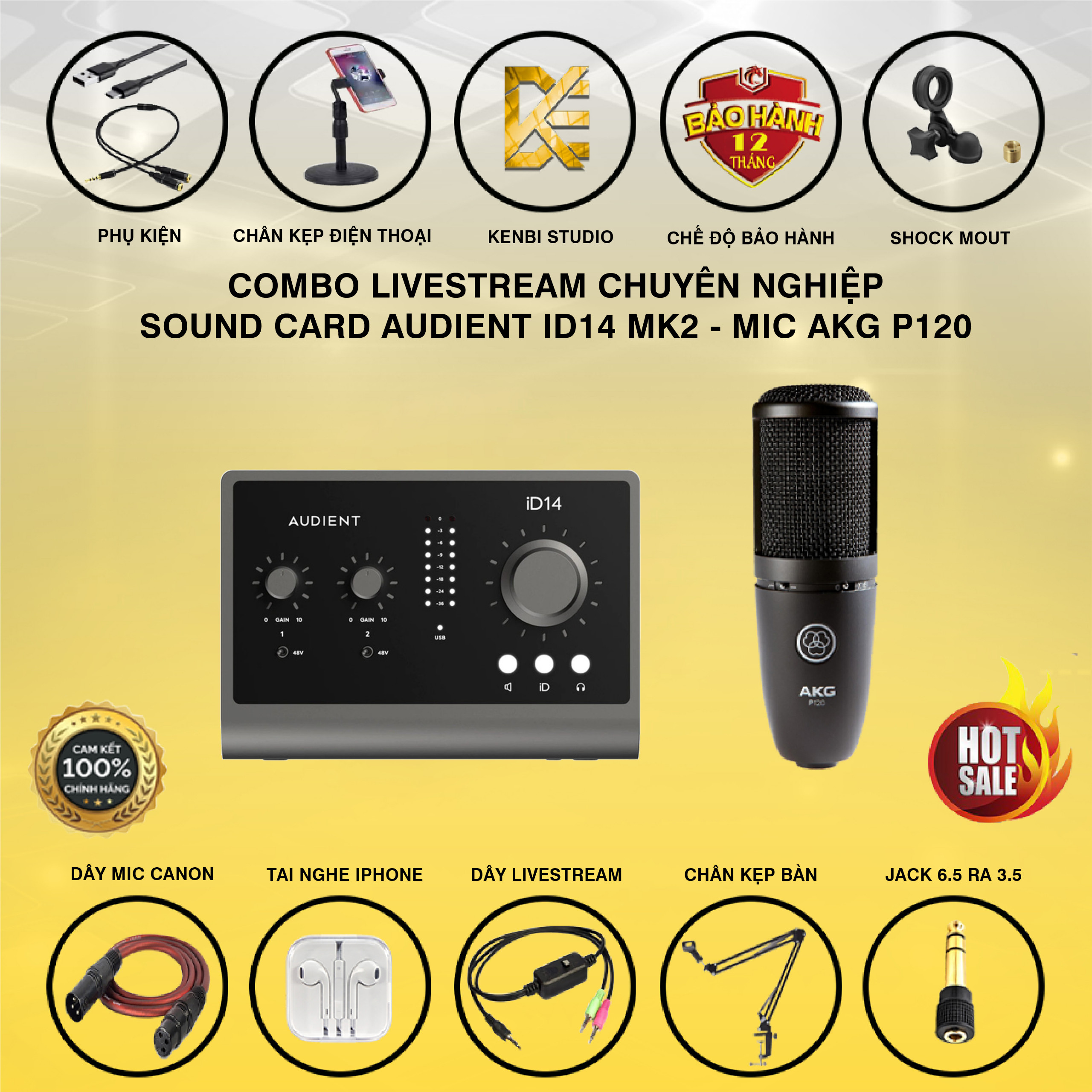 Combo Sound Card Audient ID14 MK2 - Mic AKG P120