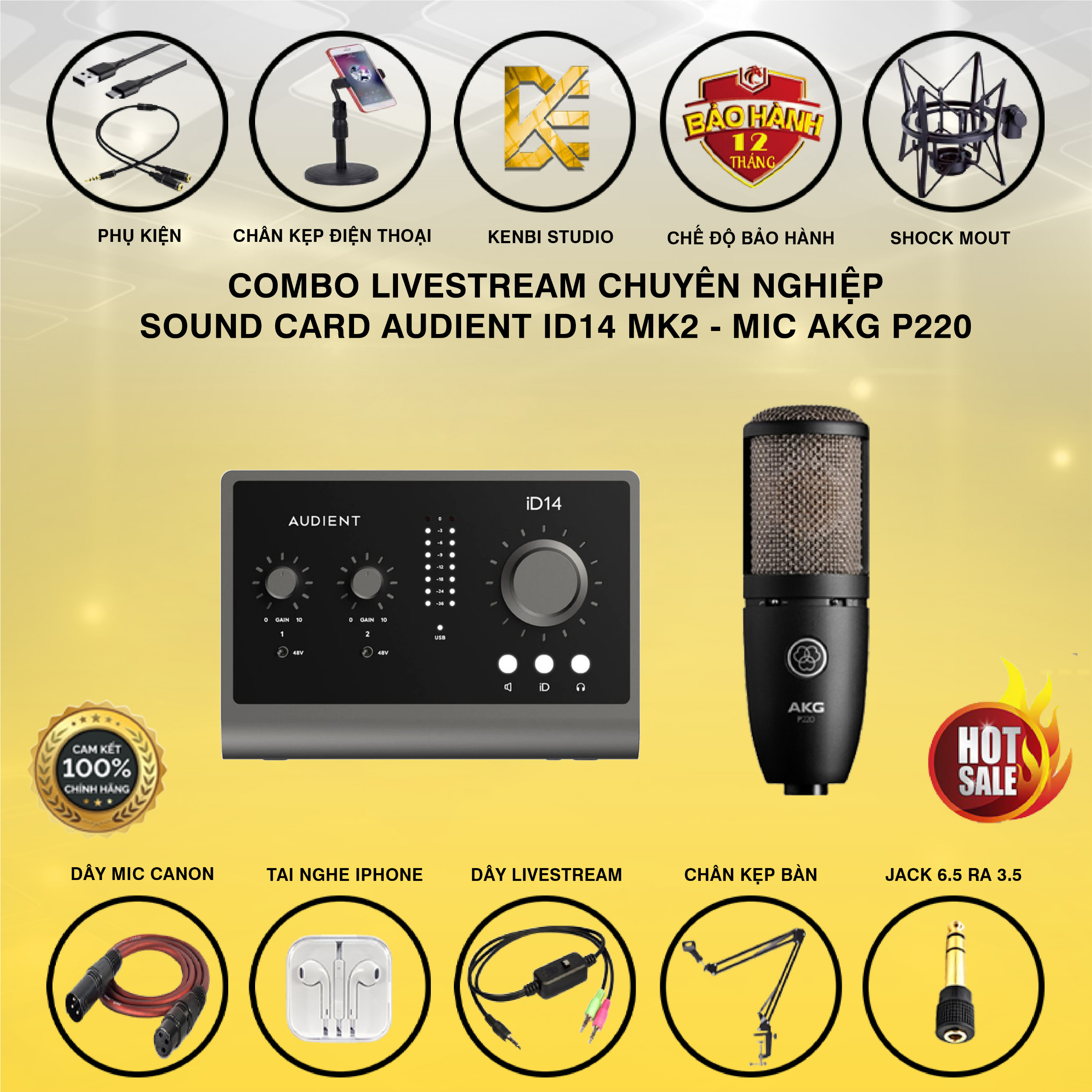 Combo Sound Card Audient ID14 MK2 - Mic AKG P220